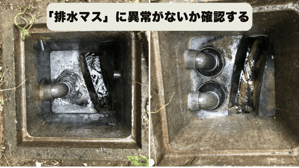 排水マスや下水管の隙間から木の根が侵入して詰まっているイメージ図