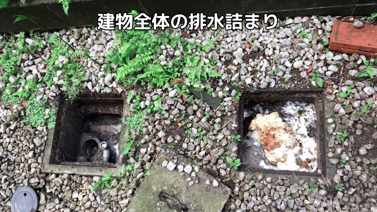 トイレ以外の排水も全て流れない詰まり修理事例